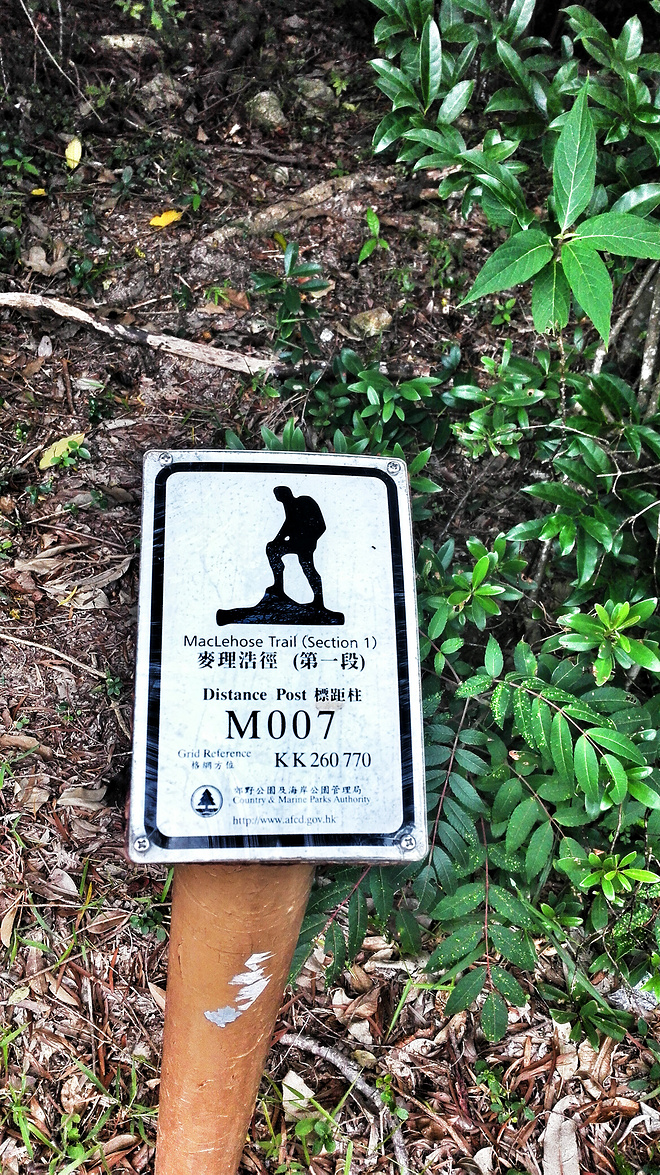 人生总要有一次 在麦径上看风起云涌——虐过后意难忘的麦理浩径挑战之旅