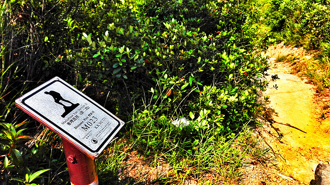 人生总要有一次 在麦径上看风起云涌——虐过后意难忘的麦理浩径挑战之旅