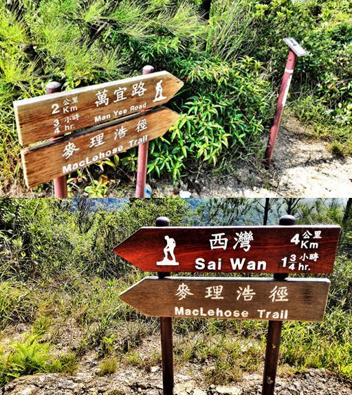 人生总要有一次 在麦径上看风起云涌——虐过后意难忘的麦理浩径挑战之旅