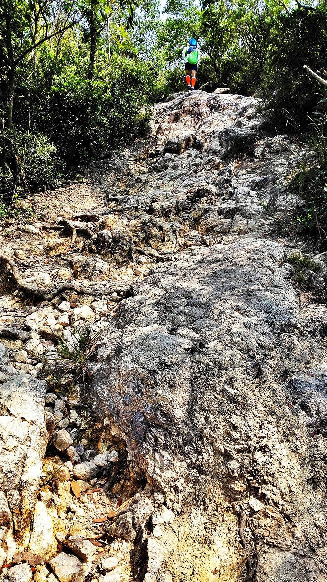 人生总要有一次 在麦径上看风起云涌——虐过后意难忘的麦理浩径挑战之旅