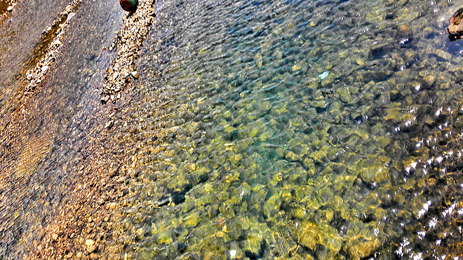 人生总要有一次 在麦径上看风起云涌——虐过后意难忘的麦理浩径挑战之旅