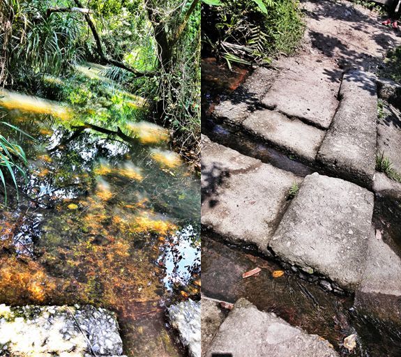 人生总要有一次 在麦径上看风起云涌——虐过后意难忘的麦理浩径挑战之旅