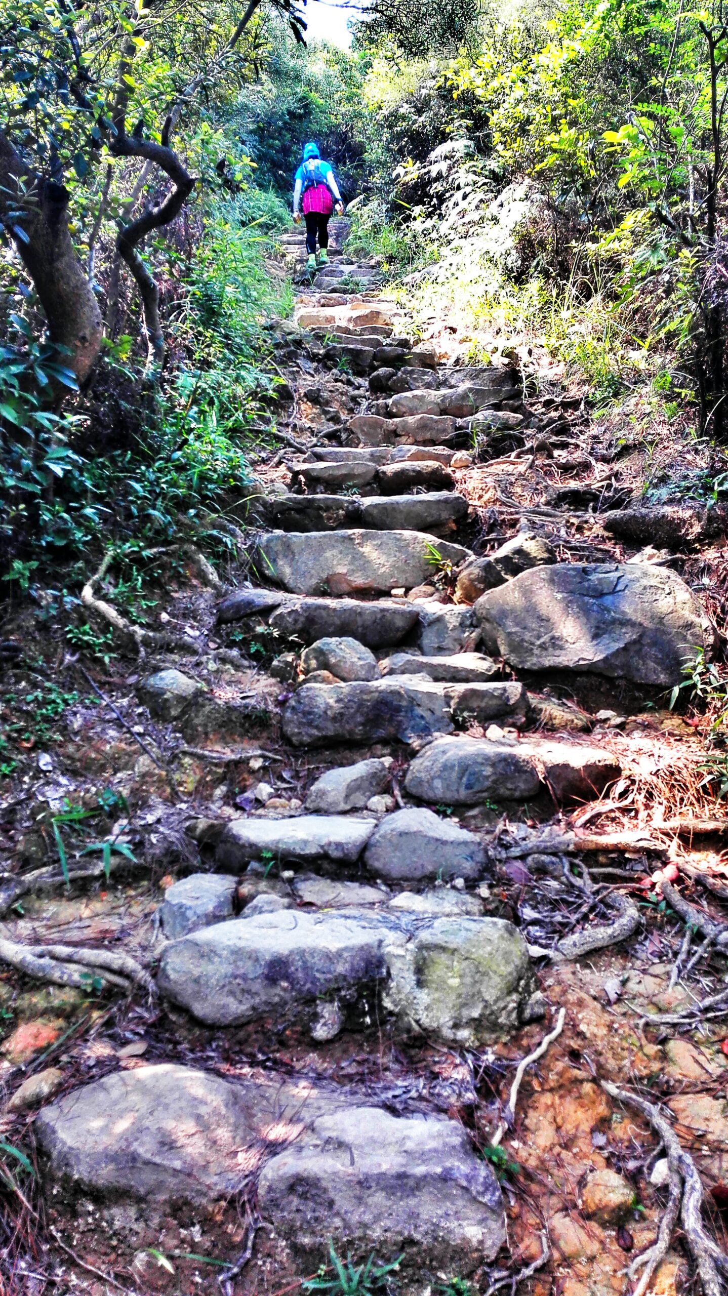 人生总要有一次 在麦径上看风起云涌——虐过后意难忘的麦理浩径挑战之旅