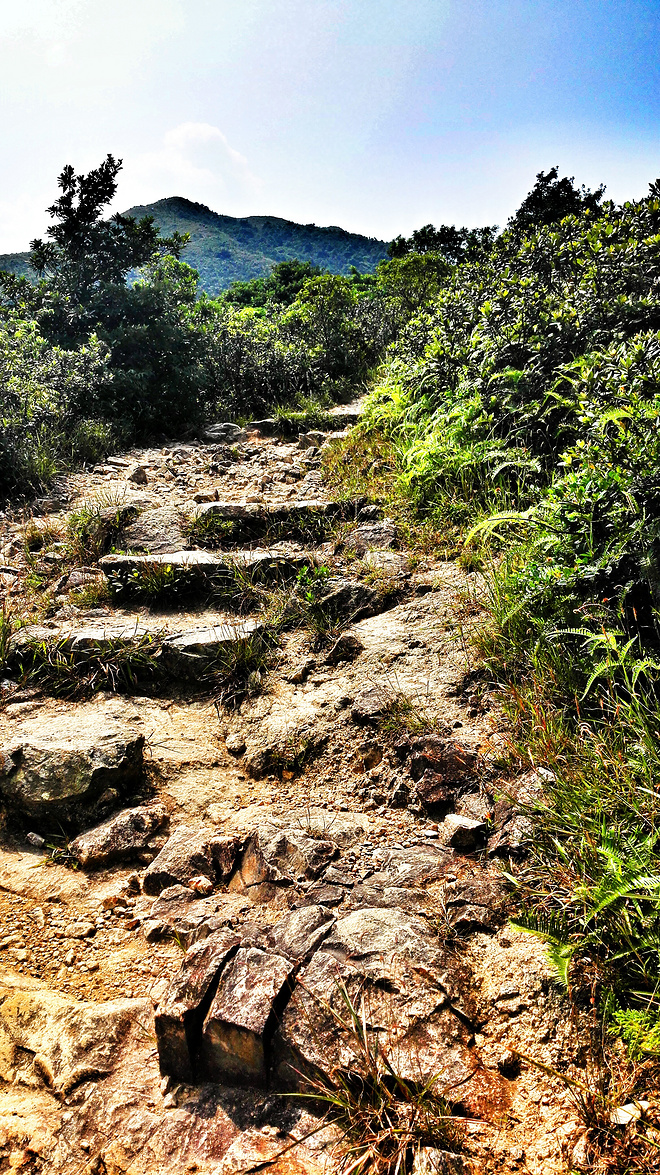 人生总要有一次 在麦径上看风起云涌——虐过后意难忘的麦理浩径挑战之旅
