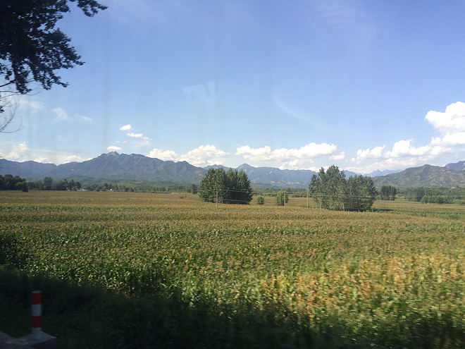 感到糊涂时,去越野吧！----记2015RW50五岳寨国际越野挑战赛