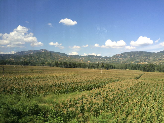 感到糊涂时,去越野吧！----记2015RW50五岳寨国际越野挑战赛