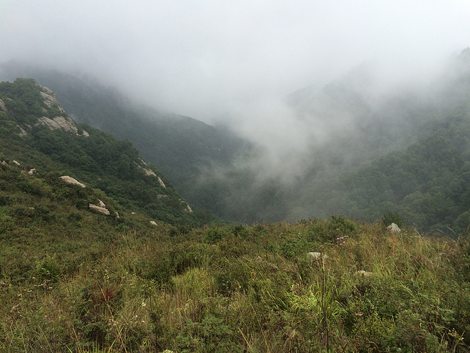 感到糊涂时,去越野吧！----记2015RW50五岳寨国际越野挑战赛