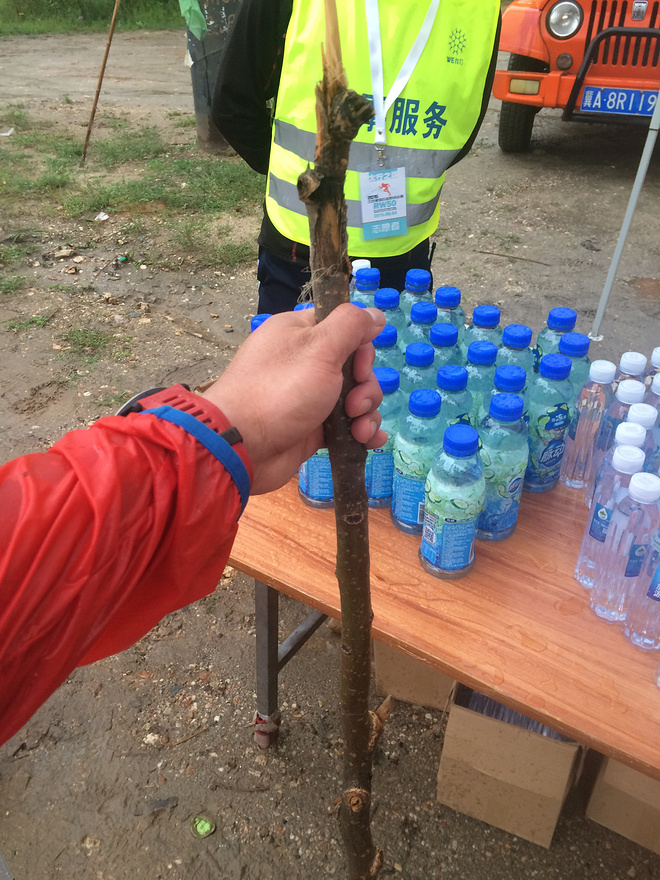 感到糊涂时,去越野吧！----记2015RW50五岳寨国际越野挑战赛