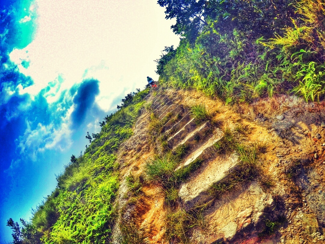 人生总要有一次 在麦径上看风起云涌——虐过后意难忘的麦理浩径挑战之旅