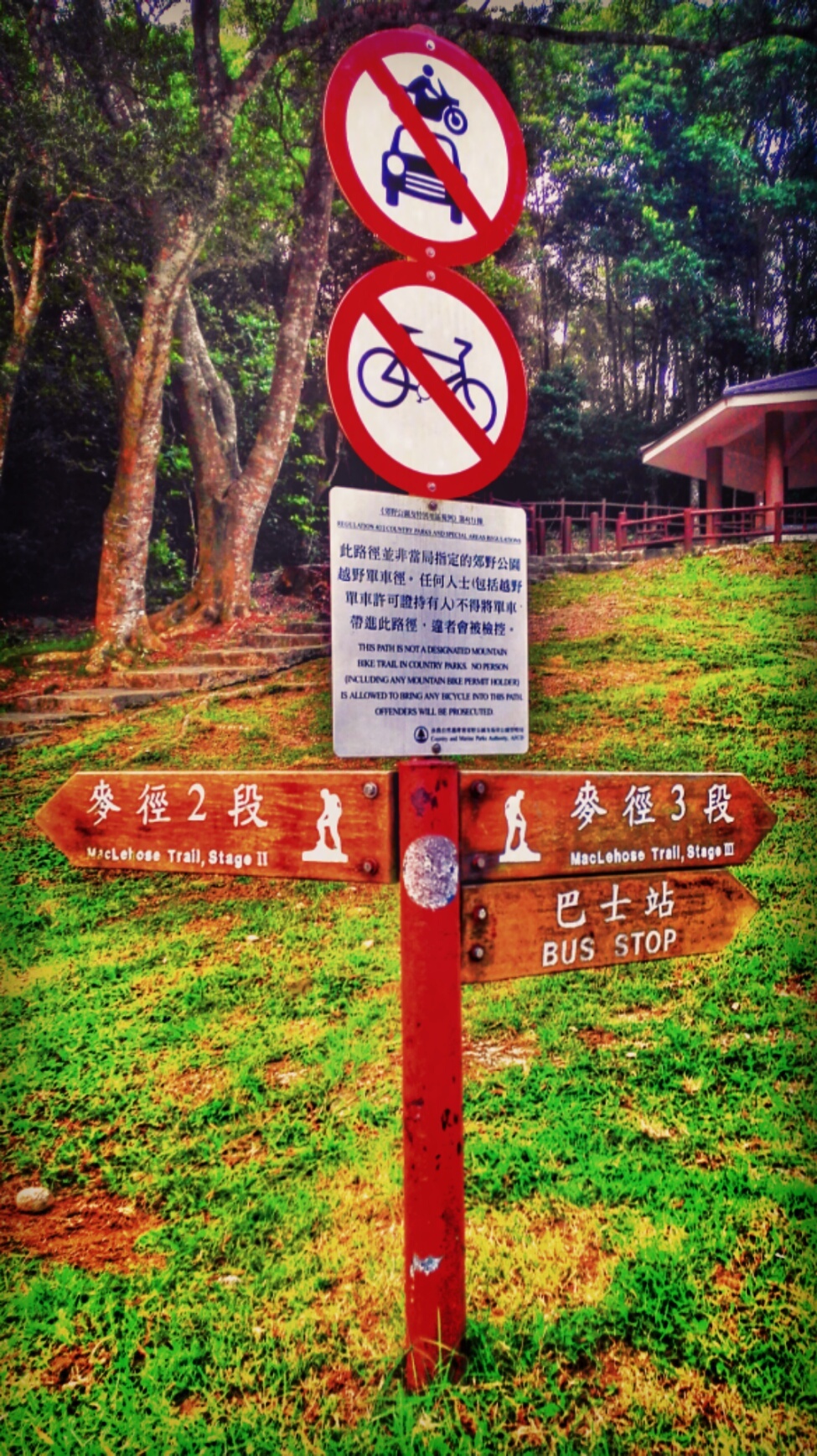 人生总要有一次 在麦径上看风起云涌——虐过后意难忘的麦理浩径挑战之旅