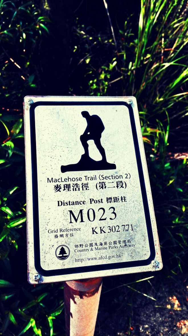 人生总要有一次 在麦径上看风起云涌——虐过后意难忘的麦理浩径挑战之旅