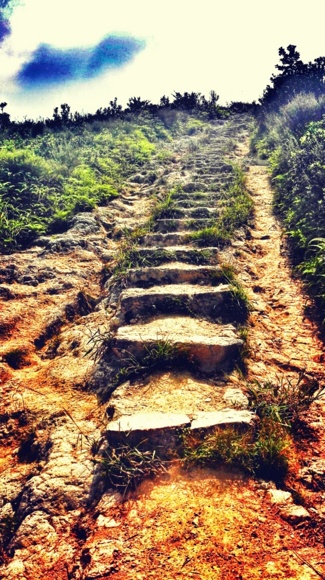 人生总要有一次 在麦径上看风起云涌——虐过后意难忘的麦理浩径挑战之旅