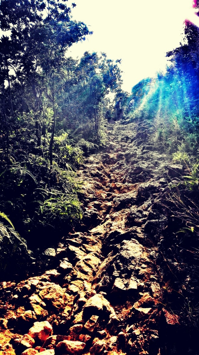 人生总要有一次 在麦径上看风起云涌——虐过后意难忘的麦理浩径挑战之旅