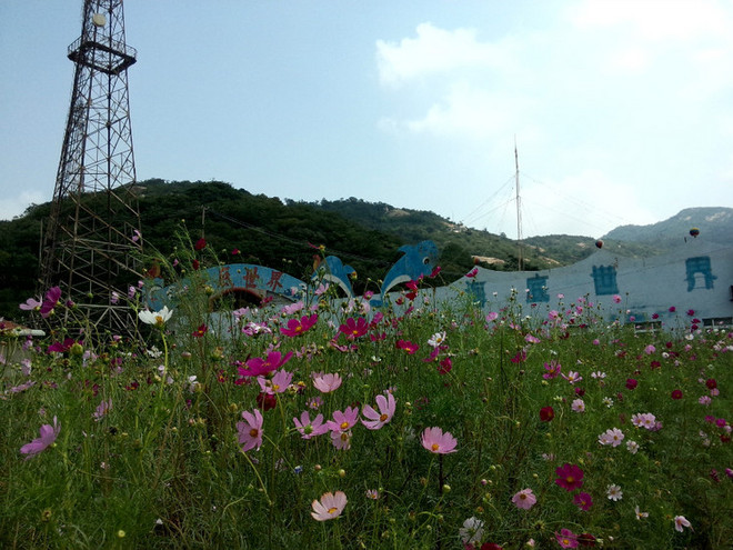 那年夏天，宁静的海