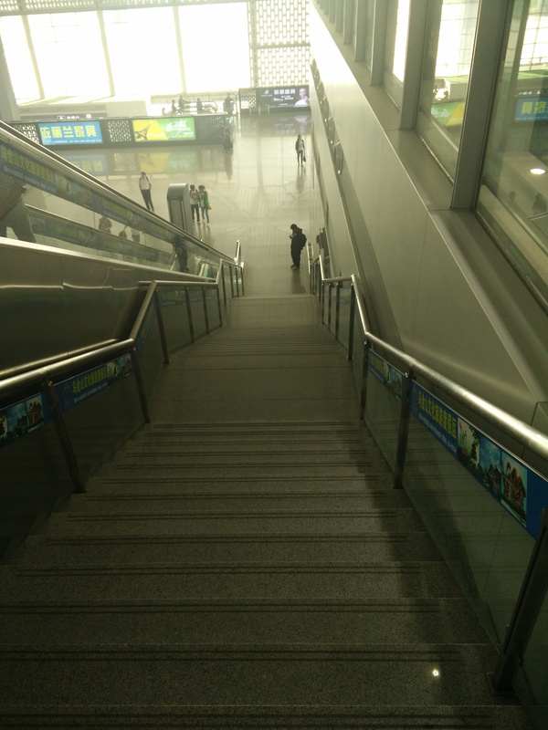 无兄弟，不跑马——第一次用脚来丈量42.195公里