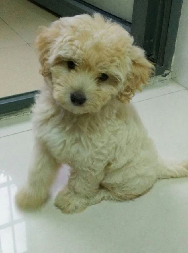 #能量跑# #EnergyRunning# 一起一起，「老法师」小麦带我LSD，带我飞！