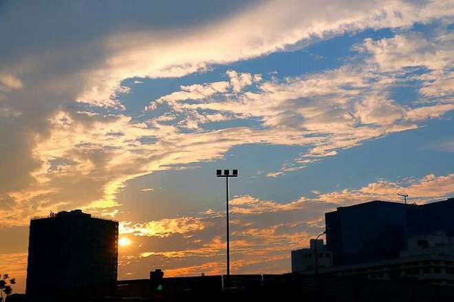 #能量跑# #EnergyRunning# 一起一起，「老法师」小麦带我LSD，带我飞！