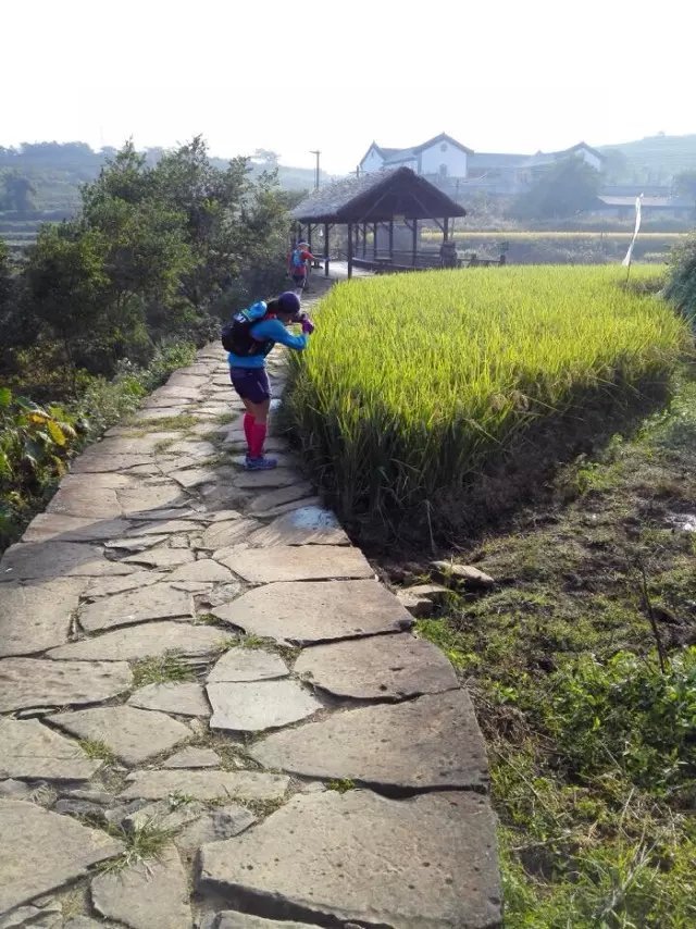 栗子的15年宁海越野之旅：让身心像风筝一样被放逐