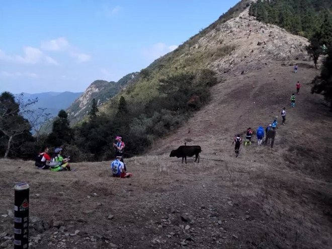 栗子的15年宁海越野之旅：让身心像风筝一样被放逐