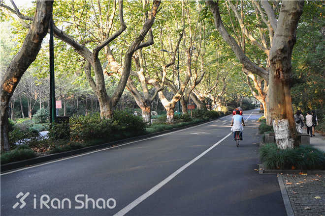 杭州马拉松 | 山外青山楼外楼，此时此刻正适合在杭州跑场马拉松