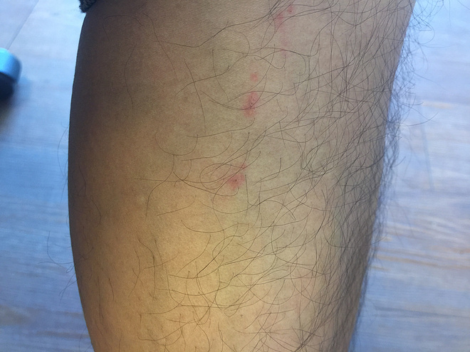 【众测报告】FALKE ENERGIZING 跑步压缩袜助我顺利完成连云港马拉松