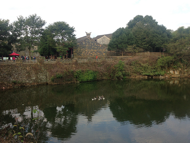 中ba宁海越野初体验 - 跑步一年、体重170、半马都没跑过