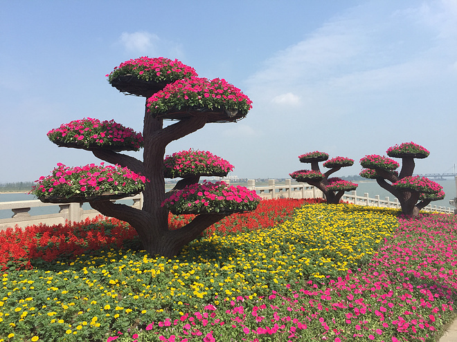 国庆前后的那些事儿