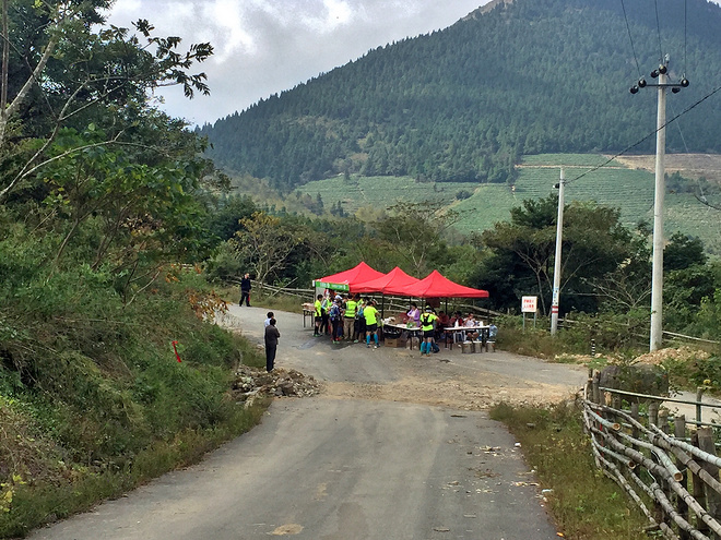 他们管这叫秋游 -众兽多图版