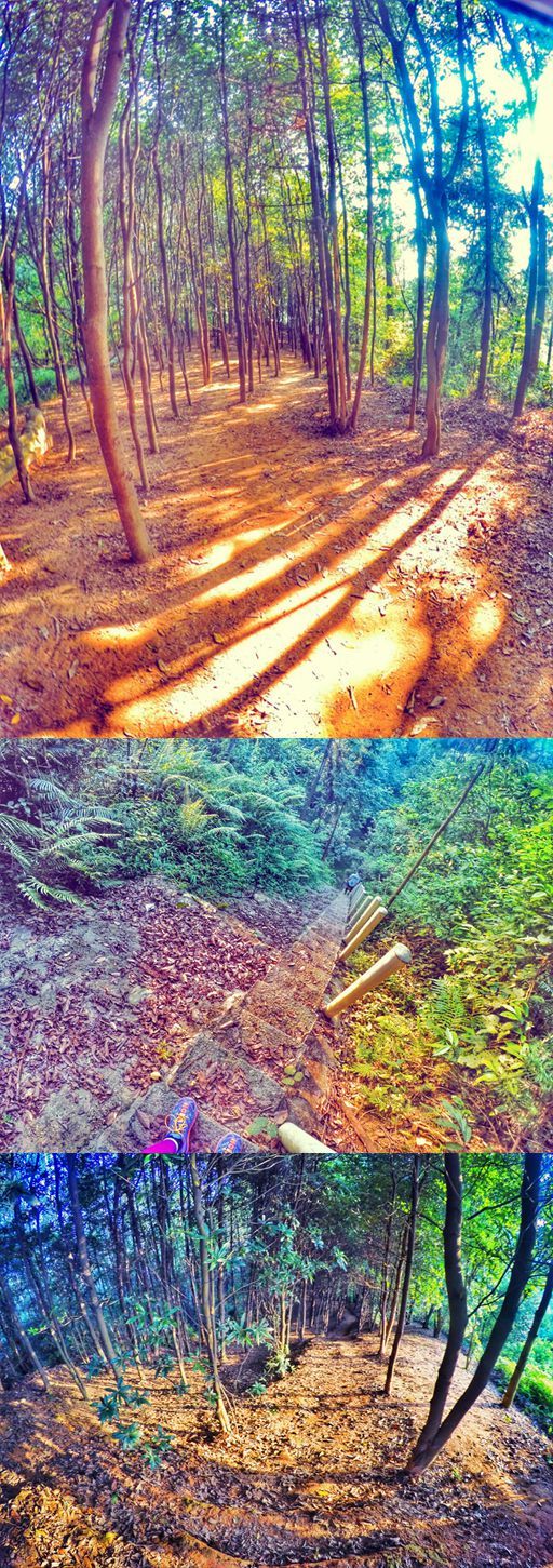 三色霓虹 予你的双瞳演绎一场华丽圆舞曲——TIFOSI三色可换镜片运动眼镜测评