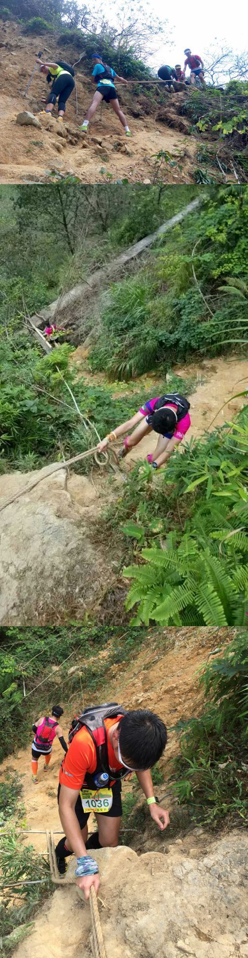 云山秀色 我愿在最美好的时光跑向你——记CBN从化影古越野赛