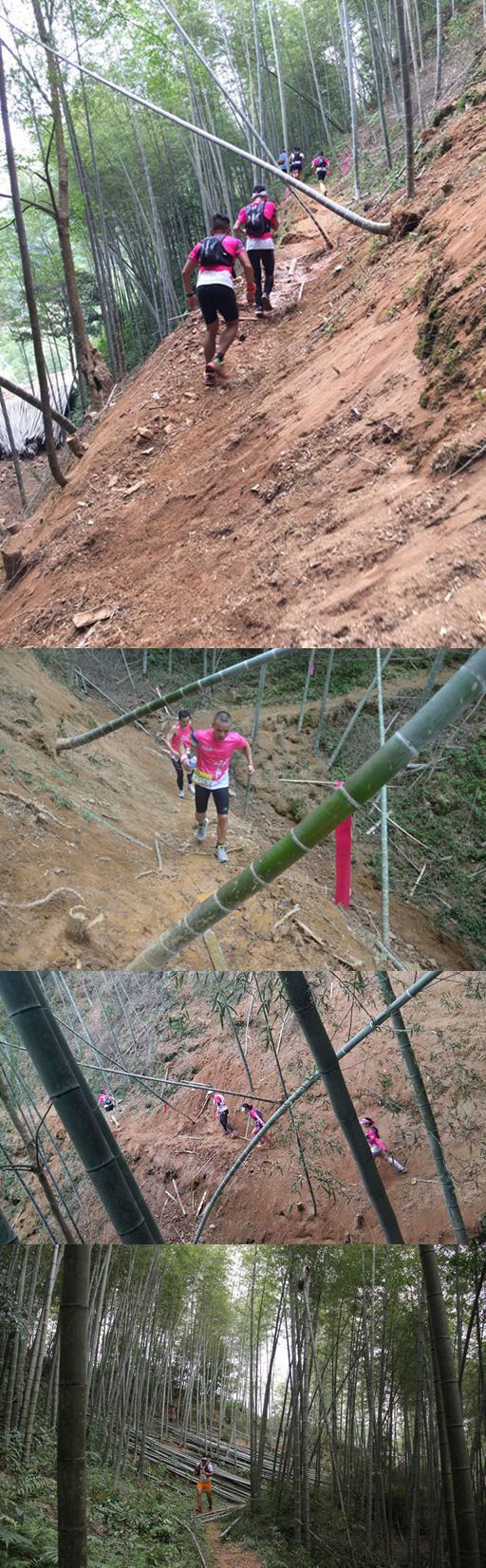 云山秀色 我愿在最美好的时光跑向你——记CBN从化影古越野赛