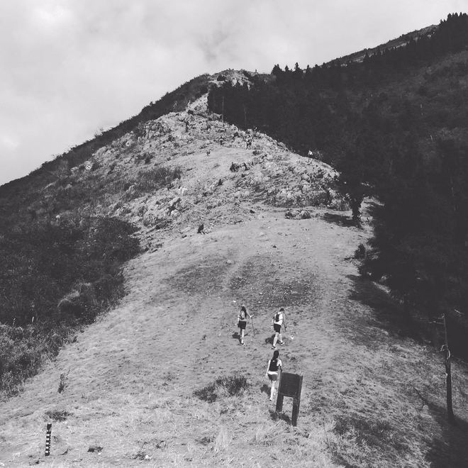 「也许我比自己想承认的还要脆弱」