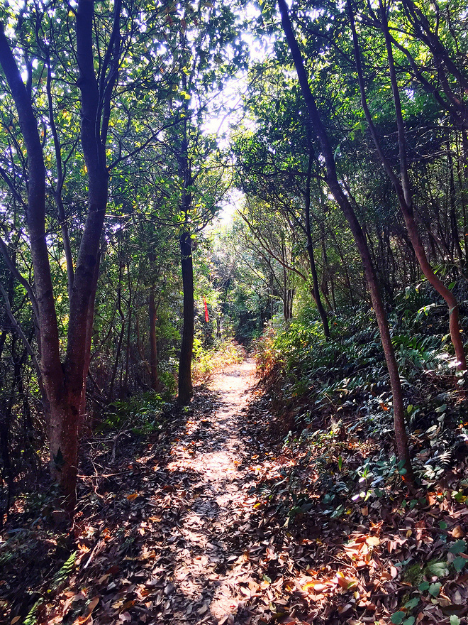 他们管这叫秋游 -众兽多图版