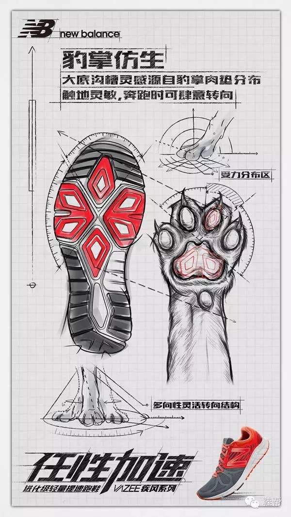 【众测报告】疾风扫落叶？ New Balance Vazee Rush评测