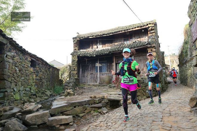 他们管这叫秋游 -众兽多图版