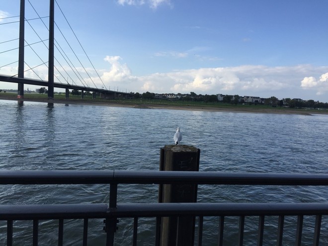 一个人的路途—记录自己的柏林马拉松