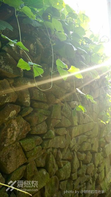 栗子的15年宁海越野之旅：让身心像风筝一样被放逐