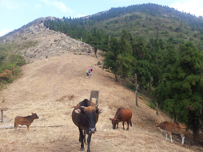 宁海越野英雄会 - 我千里飞来不要做狗熊
