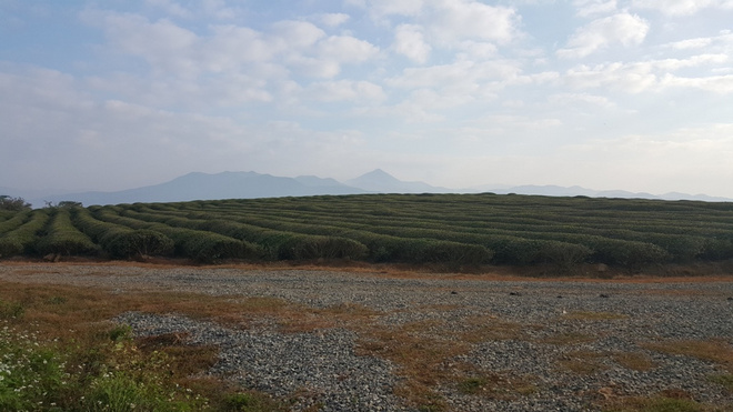 2015宁海越野50K， BE YOUR OWN HERO