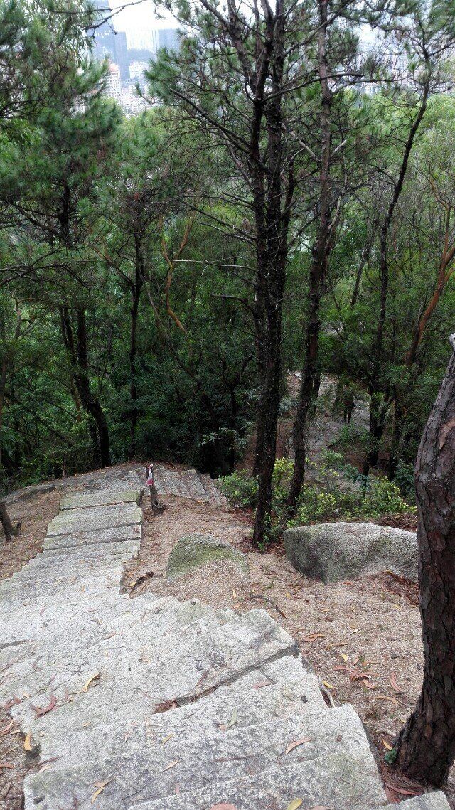 弘毅行|Run for a better world--记2015第二届珠海板障山越野赛