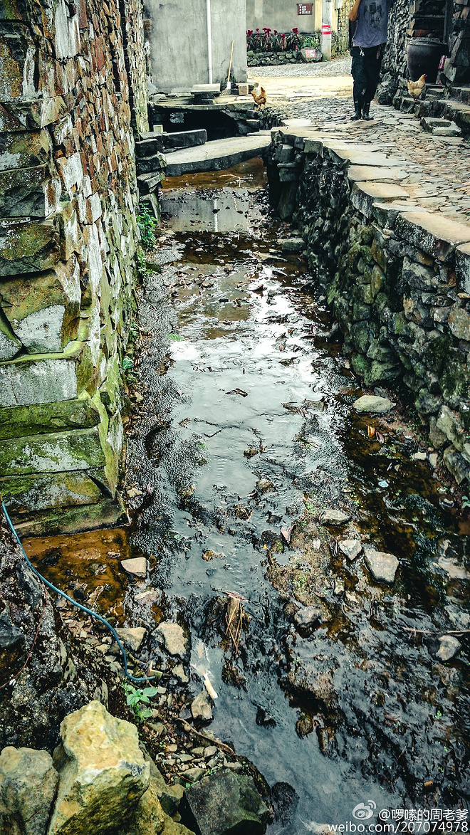 2015宁海50KM越野挑战赛小记