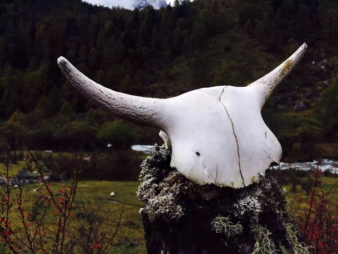 国庆前后的那些事儿