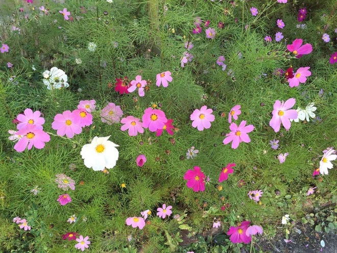 国庆前后的那些事儿