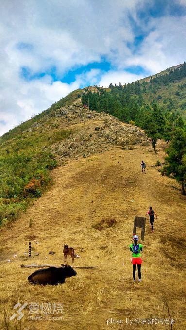 中ba宁海越野初体验 - 跑步一年、体重170、半马都没跑过