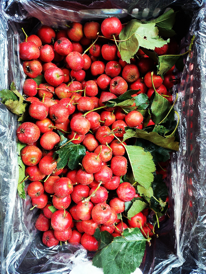 一次想记录的PW赛事，常熟半马