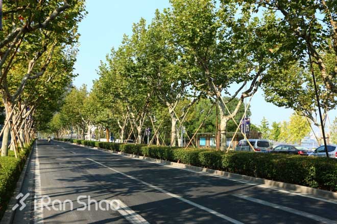 侬好上马 | 通关攻略，上马路线全方位的展示