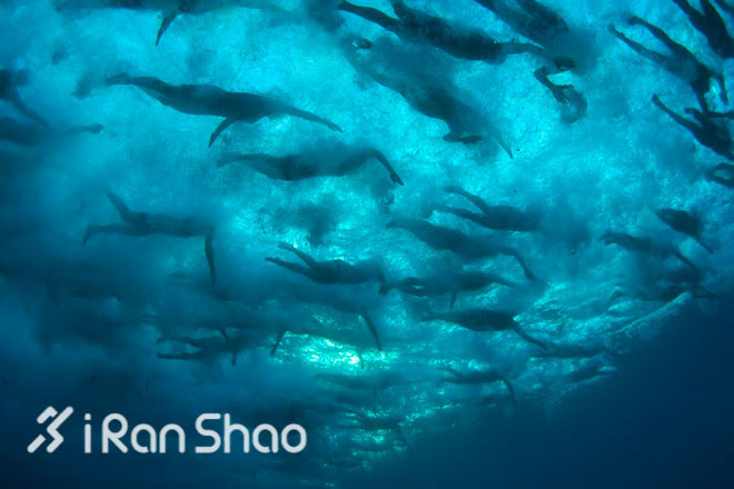 Kona Day | Ironman世锦赛你所不得不知道的39件小事