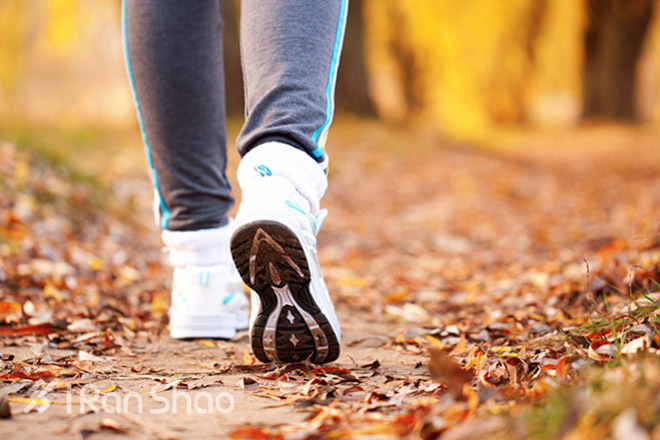 训练 | 爱上秋天跑步的理由