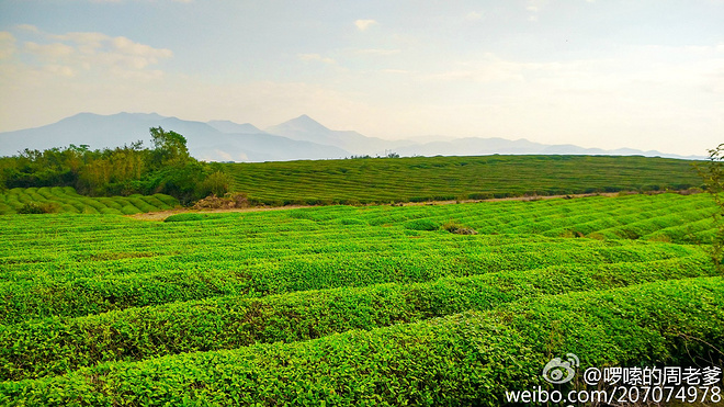 2015宁海50KM越野挑战赛小记