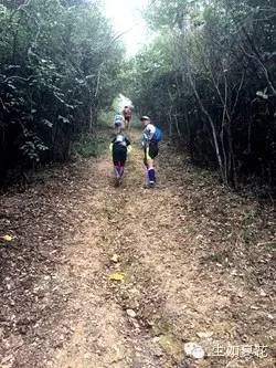 城市里的野趣——记2015杭州西野追狼越野赛